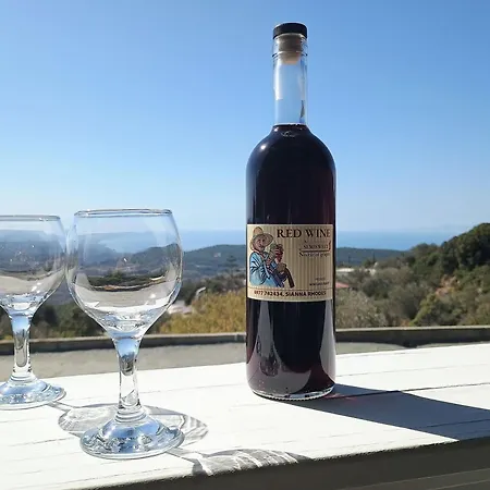 Дом отдыха Tsampika's Traditional Stone In *